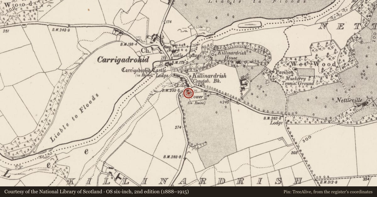 Ordnance Survey six-inch map, 2nd edition (1888–1915) covering the location of Designed landscape - belvedere, Killinardrish, County Cork, with a pin at the register's coordinates