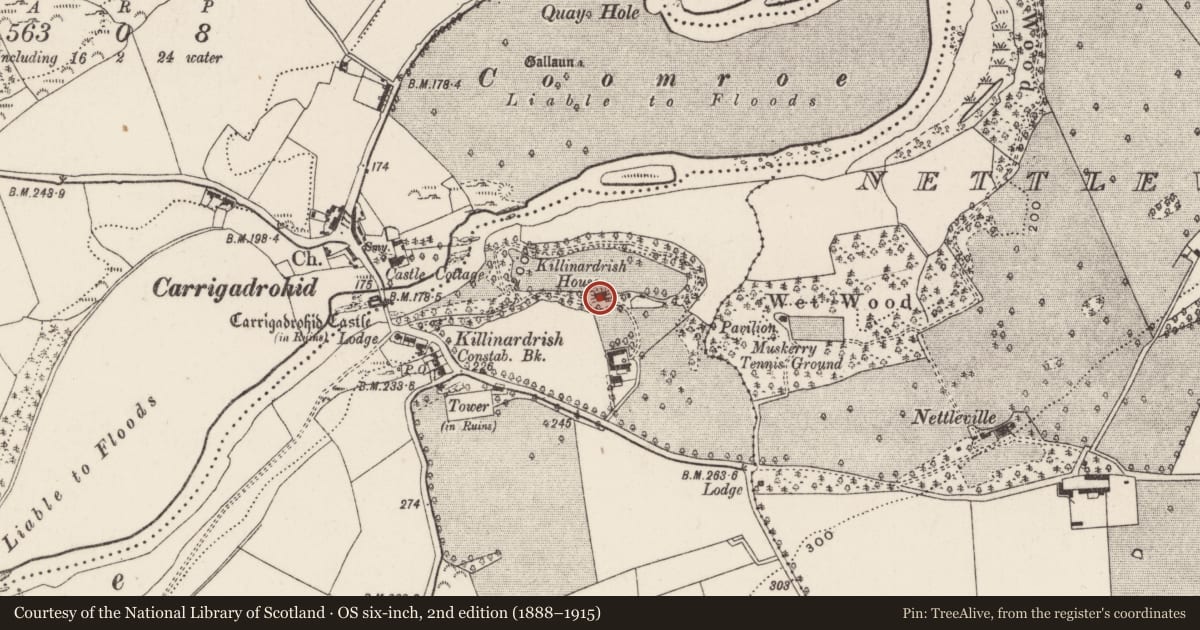 Ordnance Survey six-inch map, 2nd edition (1888–1915) covering the location of Country house, Killinardrish, County Cork, with a pin at the register's coordinates