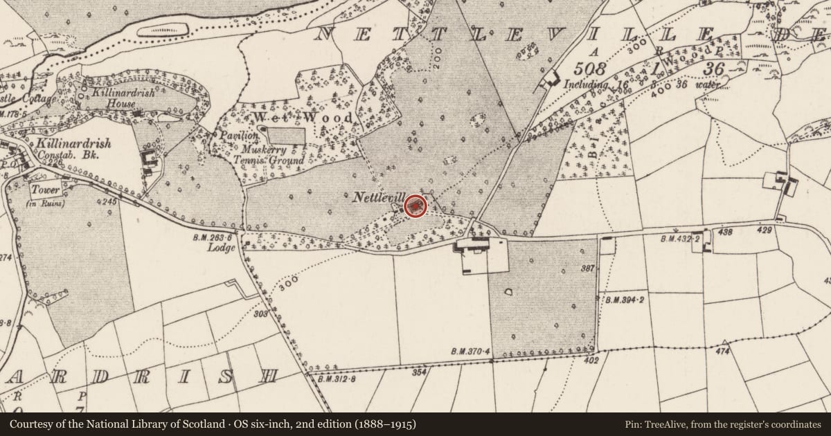 Ordnance Survey six-inch map, 2nd edition (1888–1915) covering the location of Country house, Nettleville Demesne, County Cork, with a pin at the register's coordinates