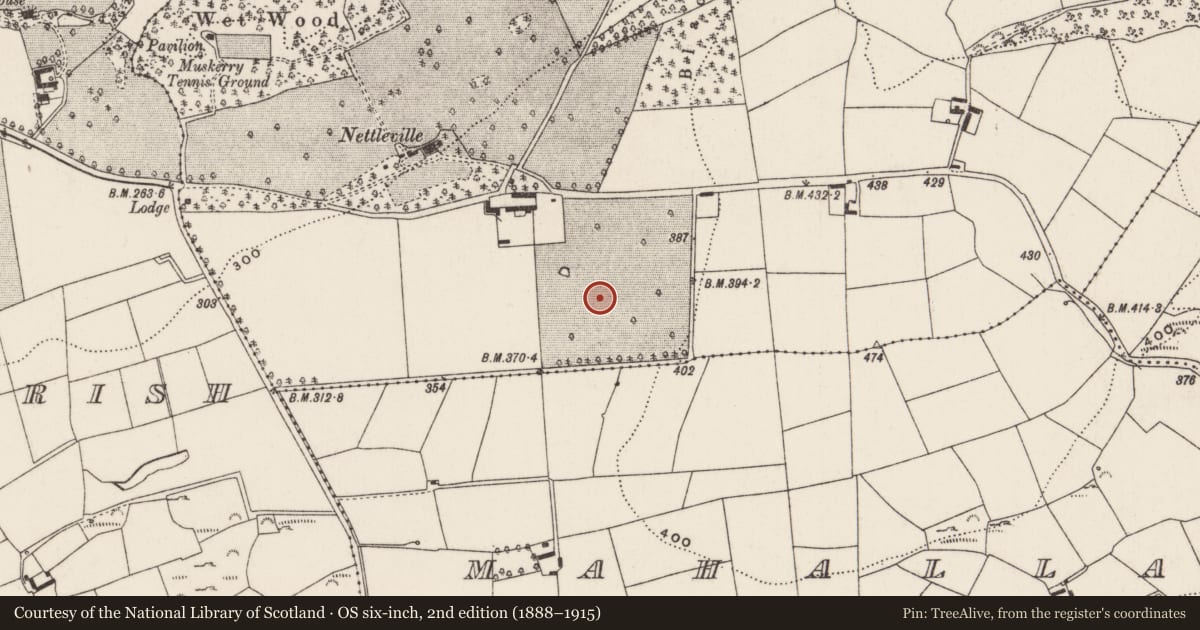 Ordnance Survey six-inch map, 2nd edition (1888–1915) covering the location of Fulacht fia, Nettleville Demesne, County Cork, with a pin at the register's coordinates
