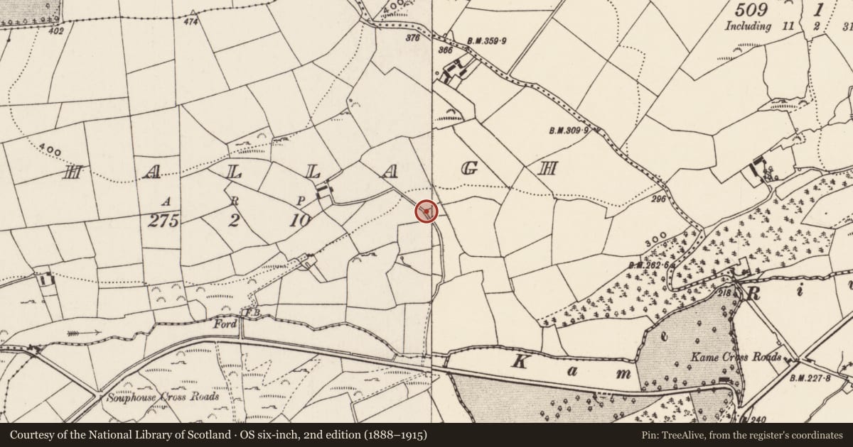 Ordnance Survey six-inch map, 2nd edition (1888–1915) covering the location of Burial ground, Mahallagh, County Cork, with a pin at the register's coordinates