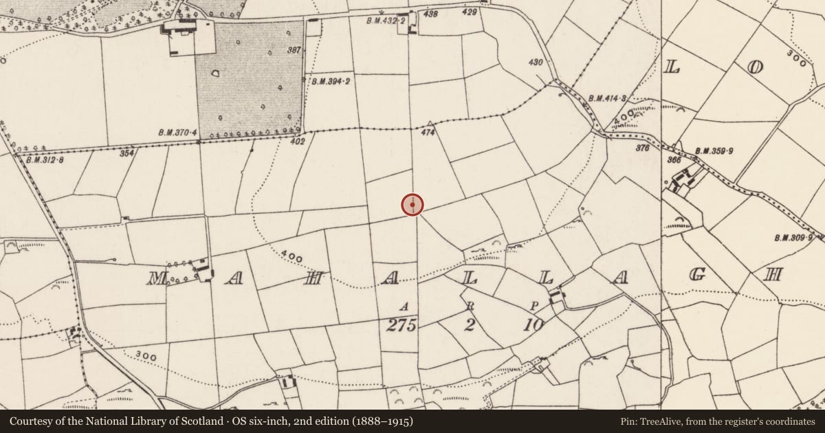 Ordnance Survey six-inch map, 2nd edition (1888–1915) covering the location of Cupmarked stone, Mahallagh, County Cork, with a pin at the register's coordinates