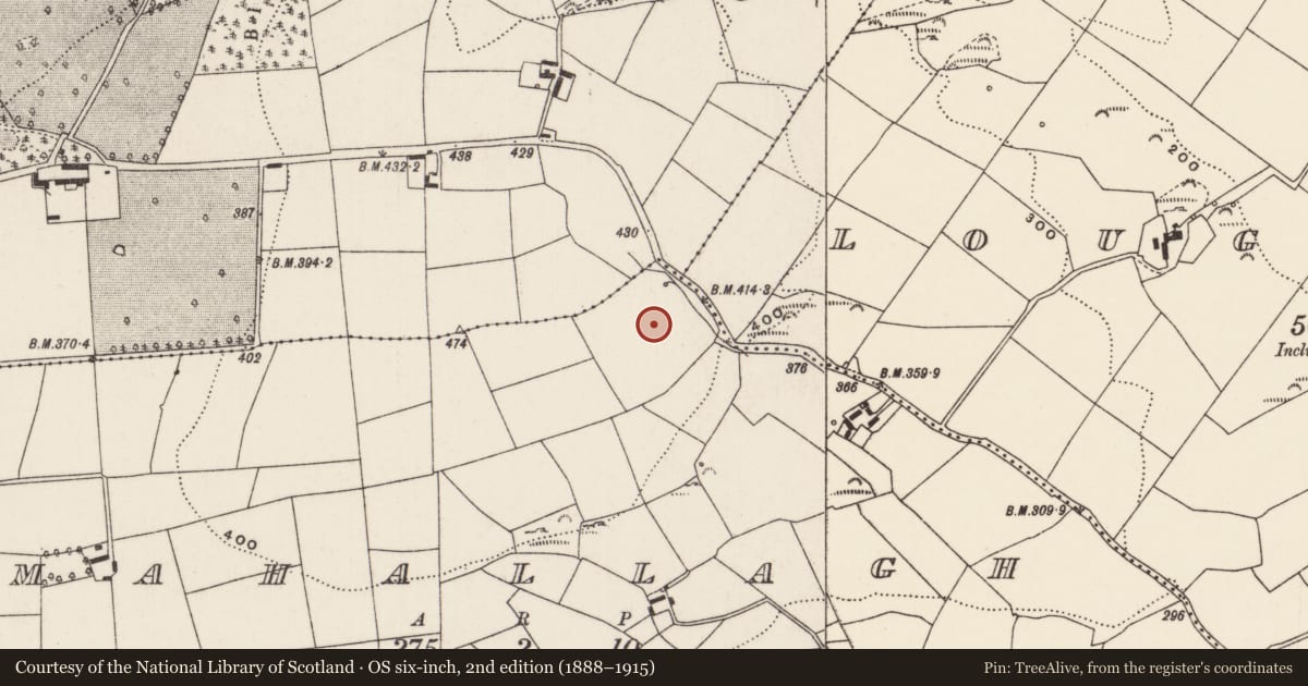 Ordnance Survey six-inch map, 2nd edition (1888–1915) covering the location of Fulacht fia, Mahallagh, County Cork, with a pin at the register's coordinates