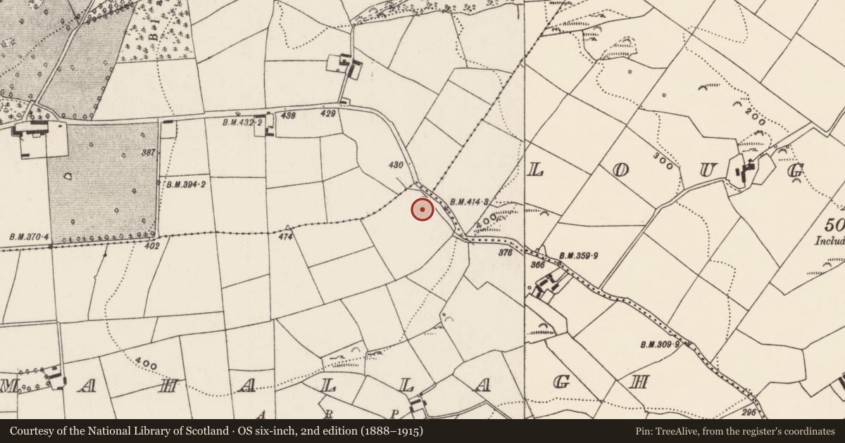 Ordnance Survey six-inch map, 2nd edition (1888–1915) covering the location of Fulacht fia, Mahallagh, County Cork, with a pin at the register's coordinates