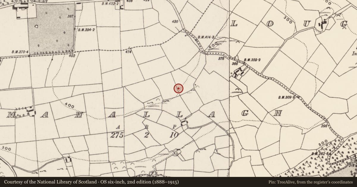 Ordnance Survey six-inch map, 2nd edition (1888–1915) covering the location of Standing stone, Mahallagh, County Cork, with a pin at the register's coordinates