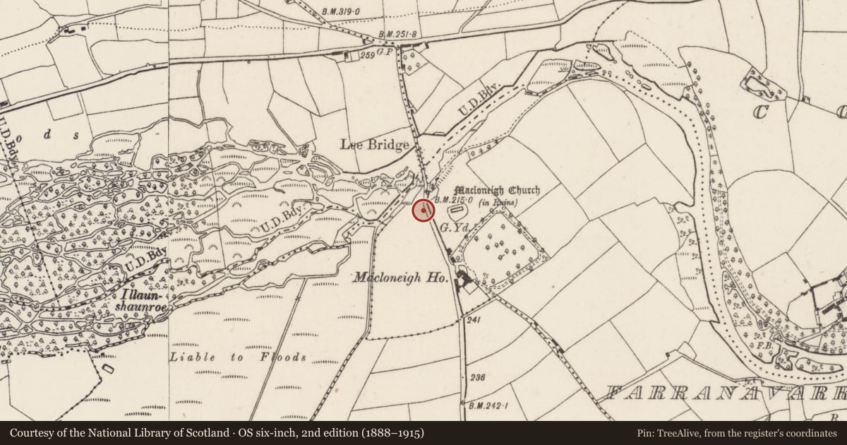 Ordnance Survey six-inch map, 2nd edition (1888–1915) covering the location of Bullaun stone, Farranavarrigane, County Cork, with a pin at the register's coordinates