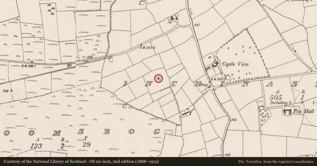 Ordnance Survey six-inch map, 2nd edition (1888–1915) covering the location of Fulacht fia, Inchinashingane, County Cork, with a pin at the register's coordinates