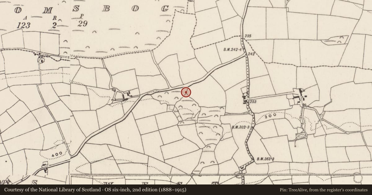 Ordnance Survey six-inch map, 2nd edition (1888–1915) covering the location of Fulacht fia, Tooms West, County Cork, with a pin at the register's coordinates