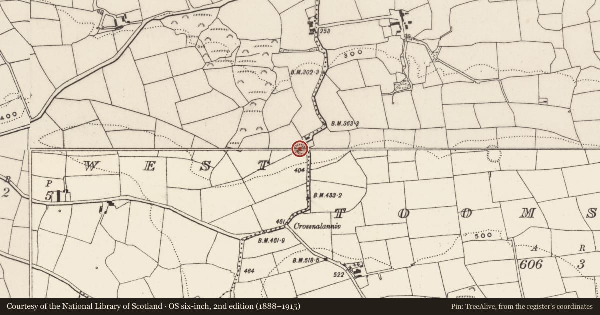 Ordnance Survey six-inch map, 2nd edition (1888–1915) covering the location of Ringfort - rath, Tooms West, County Cork, with a pin at the register's coordinates