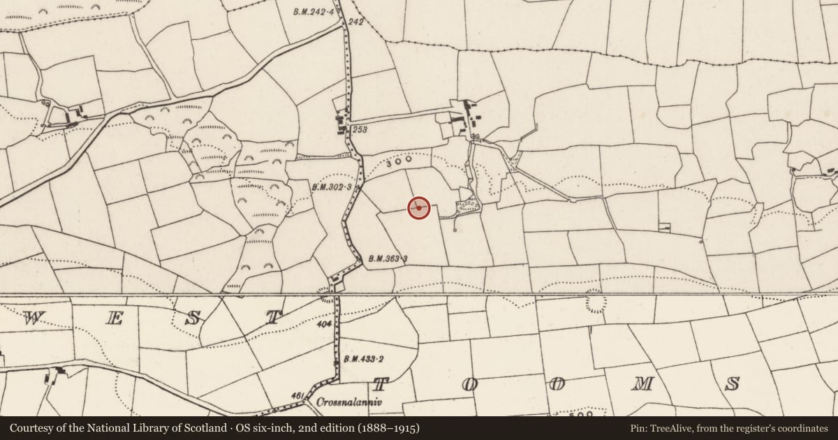 Ordnance Survey six-inch map, 2nd edition (1888–1915) covering the location of Souterrain, Tooms East, County Cork, with a pin at the register's coordinates