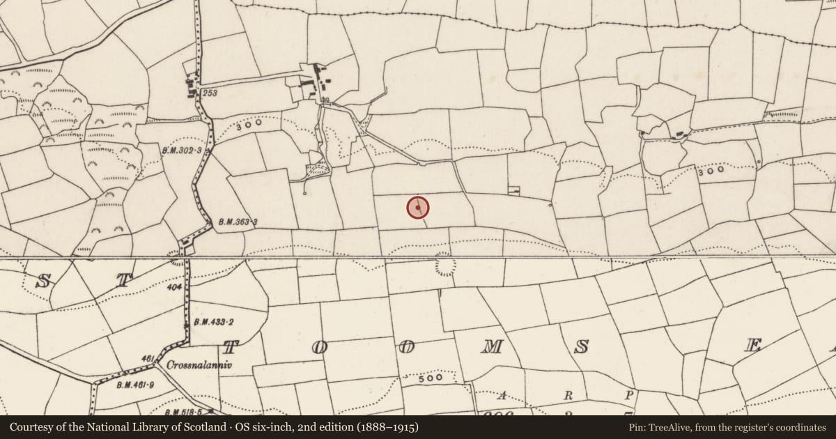 Ordnance Survey six-inch map, 2nd edition (1888–1915) covering the location of Souterrain, Tooms East, County Cork, with a pin at the register's coordinates