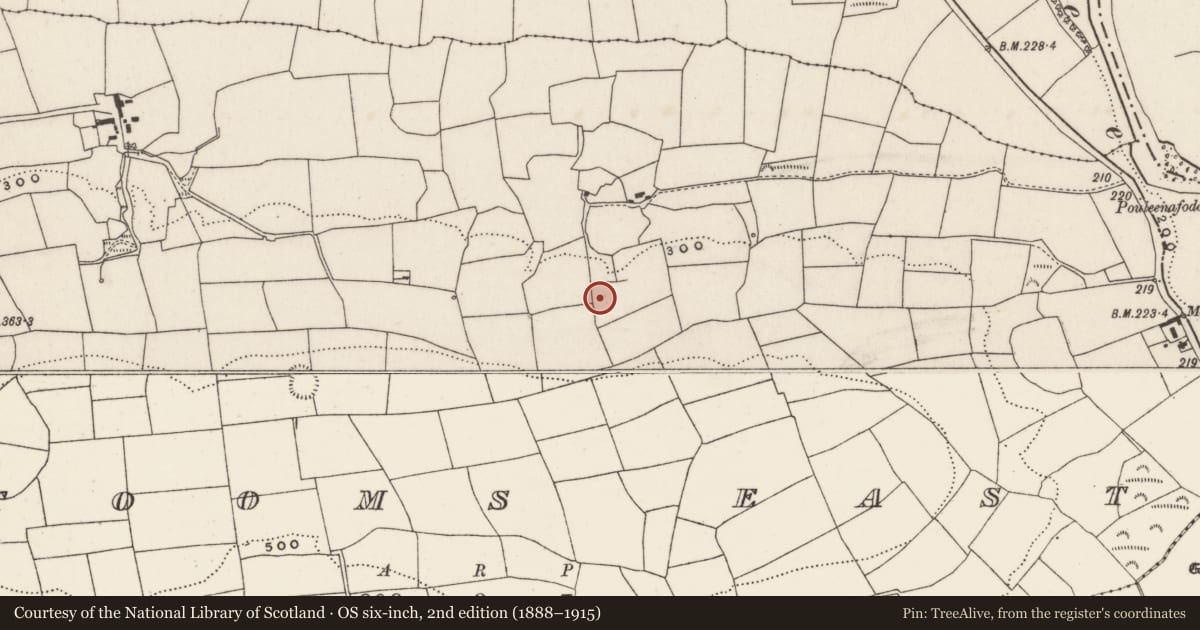 Ordnance Survey six-inch map, 2nd edition (1888–1915) covering the location of Ringfort - rath, Tooms East, County Cork, with a pin at the register's coordinates