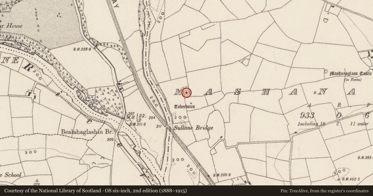 Ordnance Survey six-inch map, 2nd edition (1888–1915) covering the location of Moated site, Mashanaglass, County Cork, with a pin at the register's coordinates