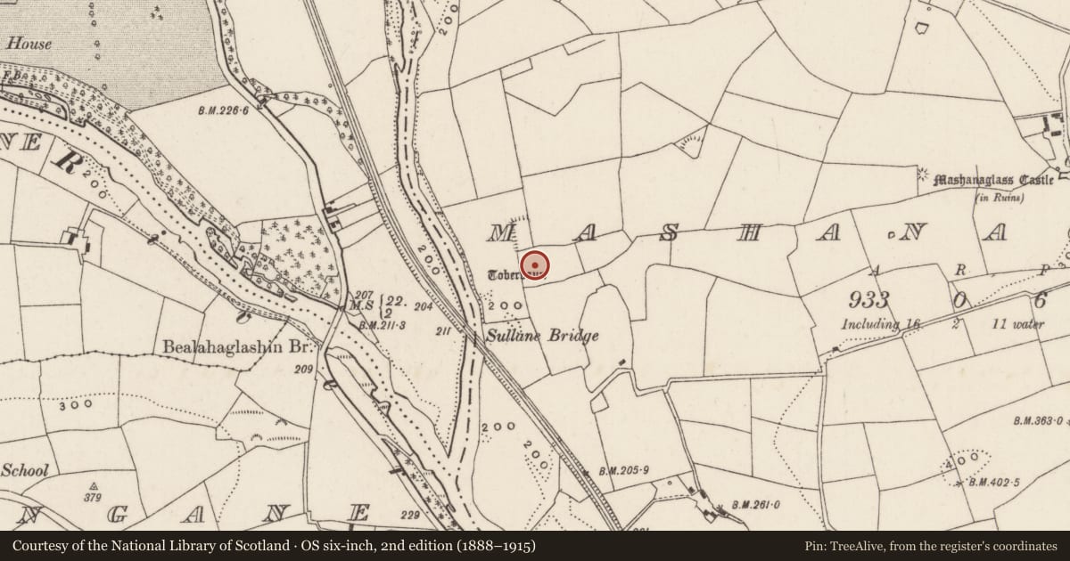 Ordnance Survey six-inch map, 2nd edition (1888–1915) covering the location of Water mill - horizontal-wheeled, Mashanaglass, County Cork, with a pin at the register's coordinates