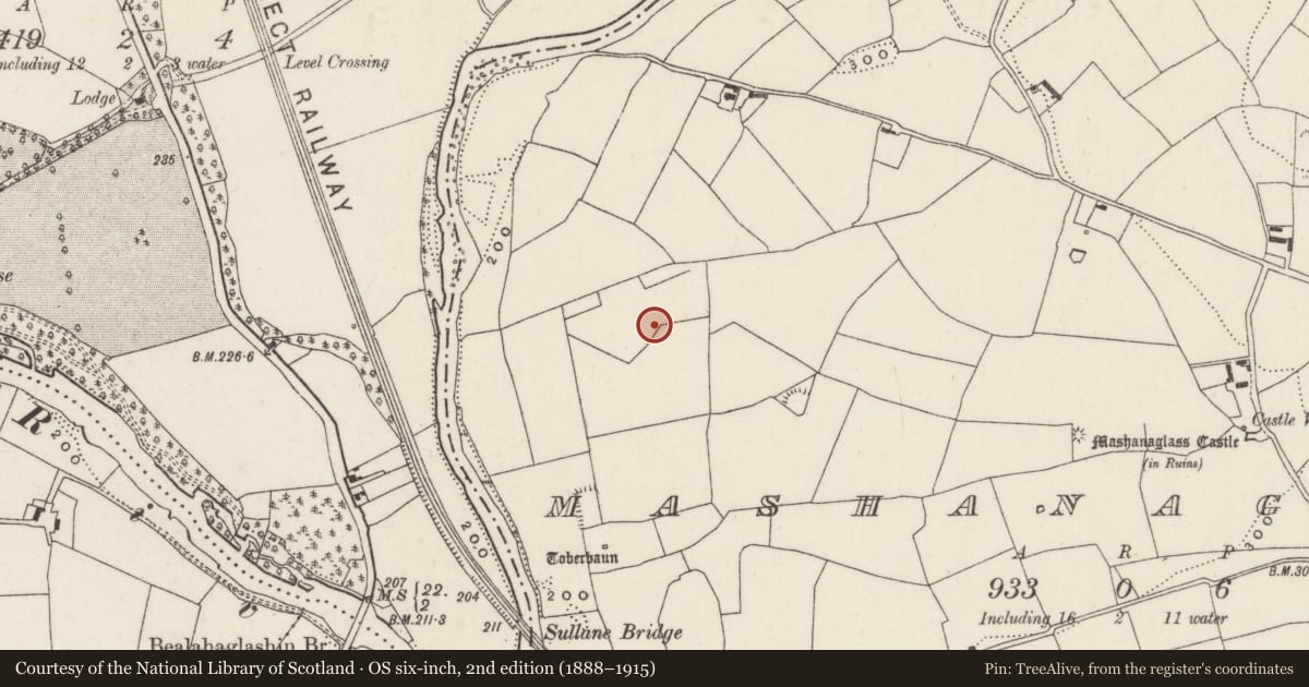 Ordnance Survey six-inch map, 2nd edition (1888–1915) covering the location of Fulacht fia, Mashanaglass, County Cork, with a pin at the register's coordinates