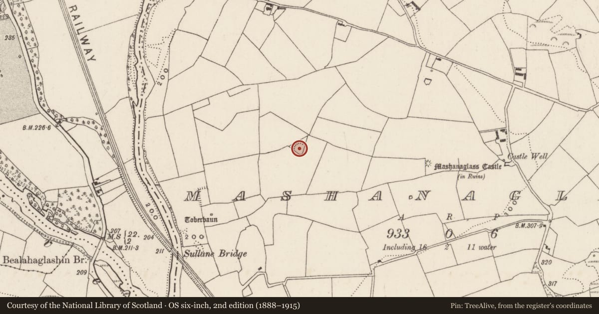 Ordnance Survey six-inch map, 2nd edition (1888–1915) covering the location of Ringfort - rath, Mashanaglass, County Cork, with a pin at the register's coordinates