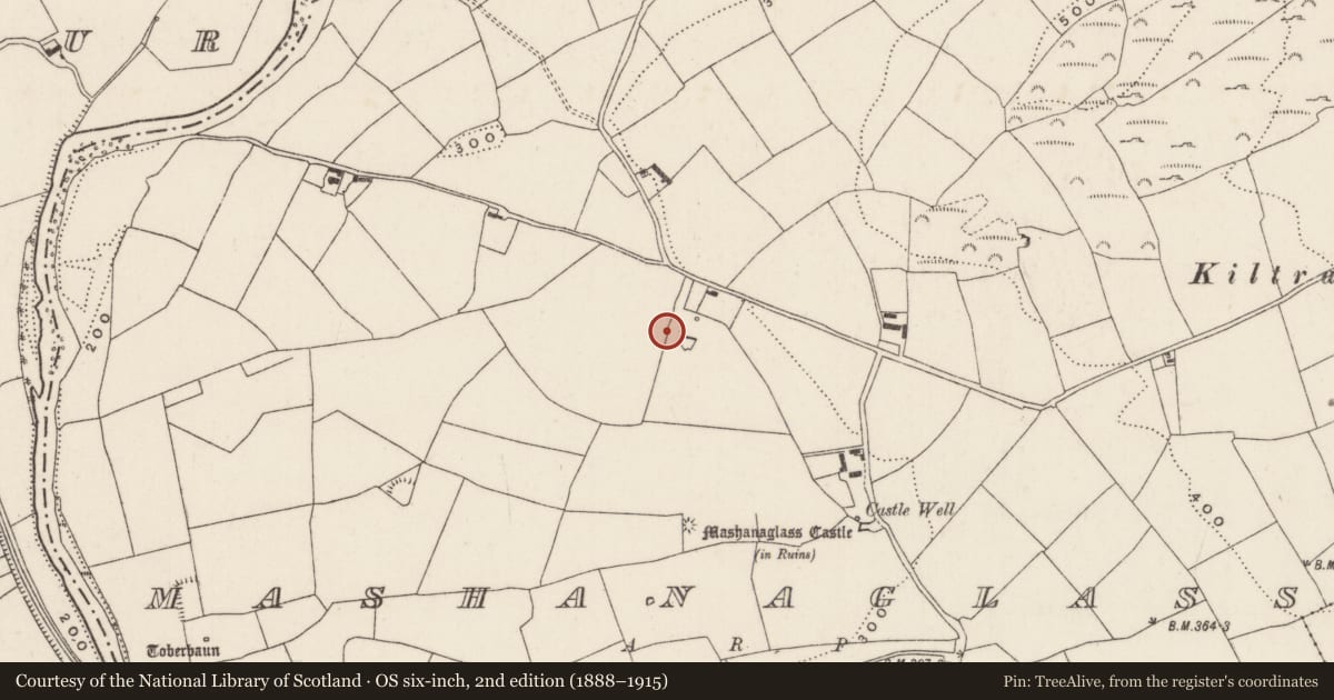 Ordnance Survey six-inch map, 2nd edition (1888–1915) covering the location of Fulacht fia, Mashanaglass, County Cork, with a pin at the register's coordinates