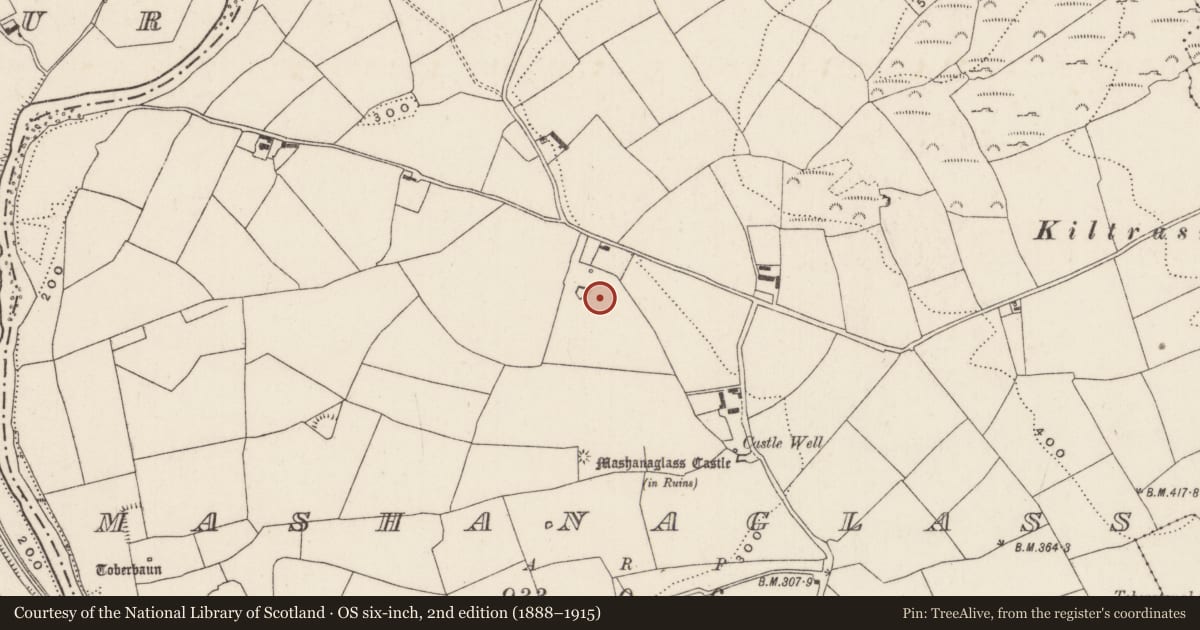 Ordnance Survey six-inch map, 2nd edition (1888–1915) covering the location of Fulacht fia, Mashanaglass, County Cork, with a pin at the register's coordinates