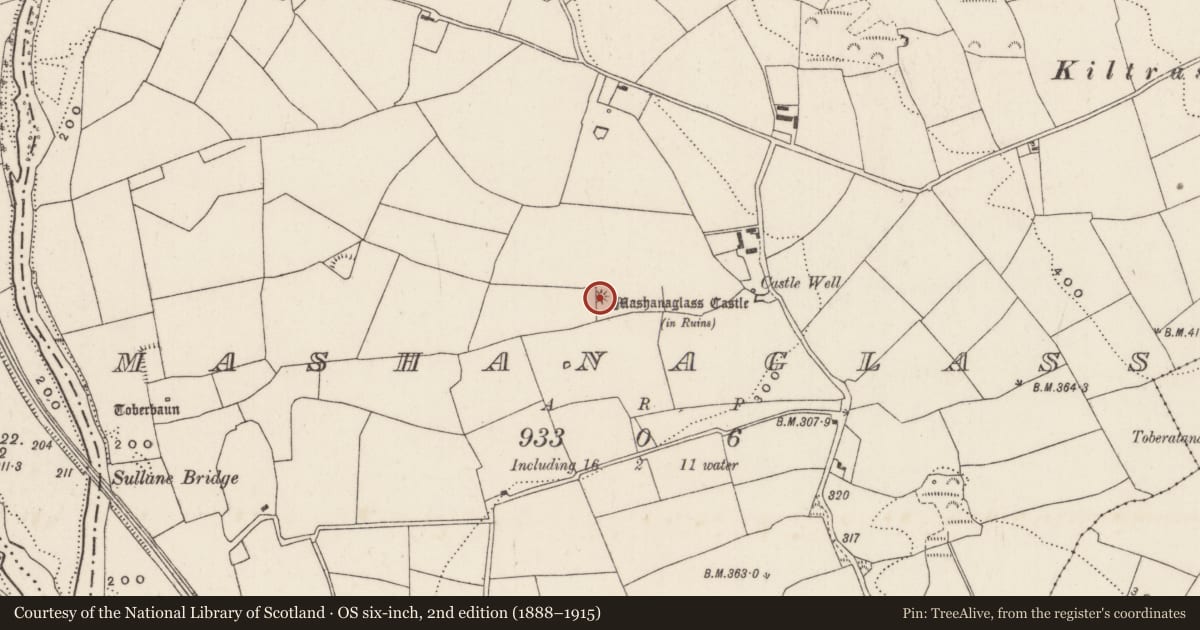 Ordnance Survey six-inch map, 2nd edition (1888–1915) covering the location of Fulacht fia, Mashanaglass, County Cork, with a pin at the register's coordinates