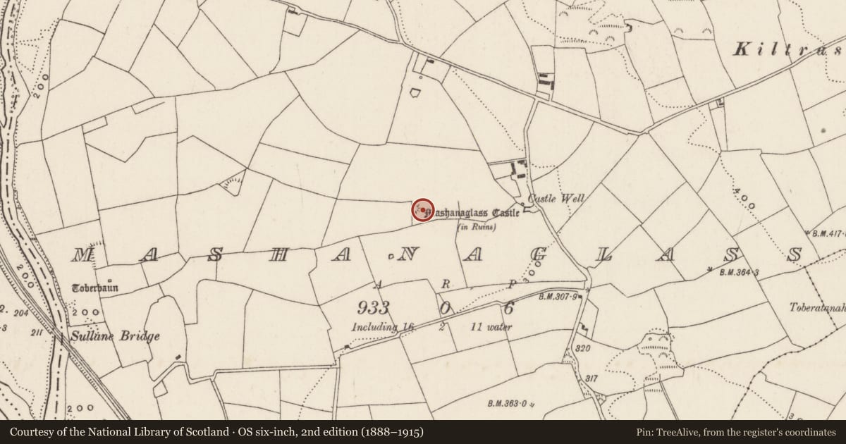 Ordnance Survey six-inch map, 2nd edition (1888–1915) covering the location of Fulacht fia, Mashanaglass, County Cork, with a pin at the register's coordinates