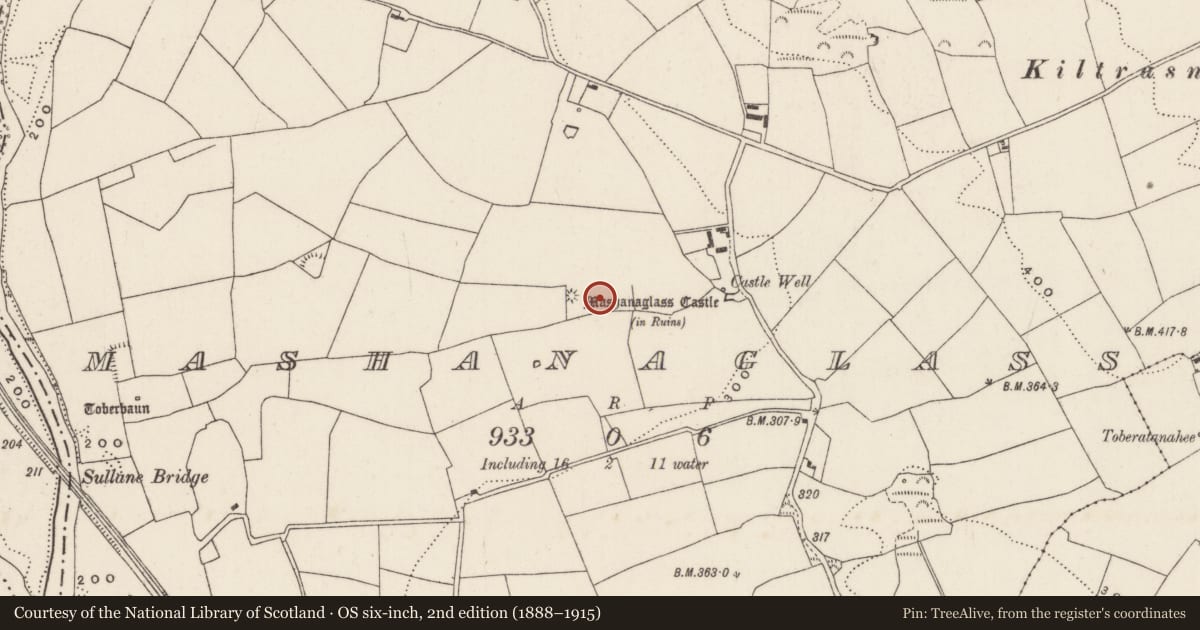 Ordnance Survey six-inch map, 2nd edition (1888–1915) covering the location of Fulacht fia, Mashanaglass, County Cork, with a pin at the register's coordinates