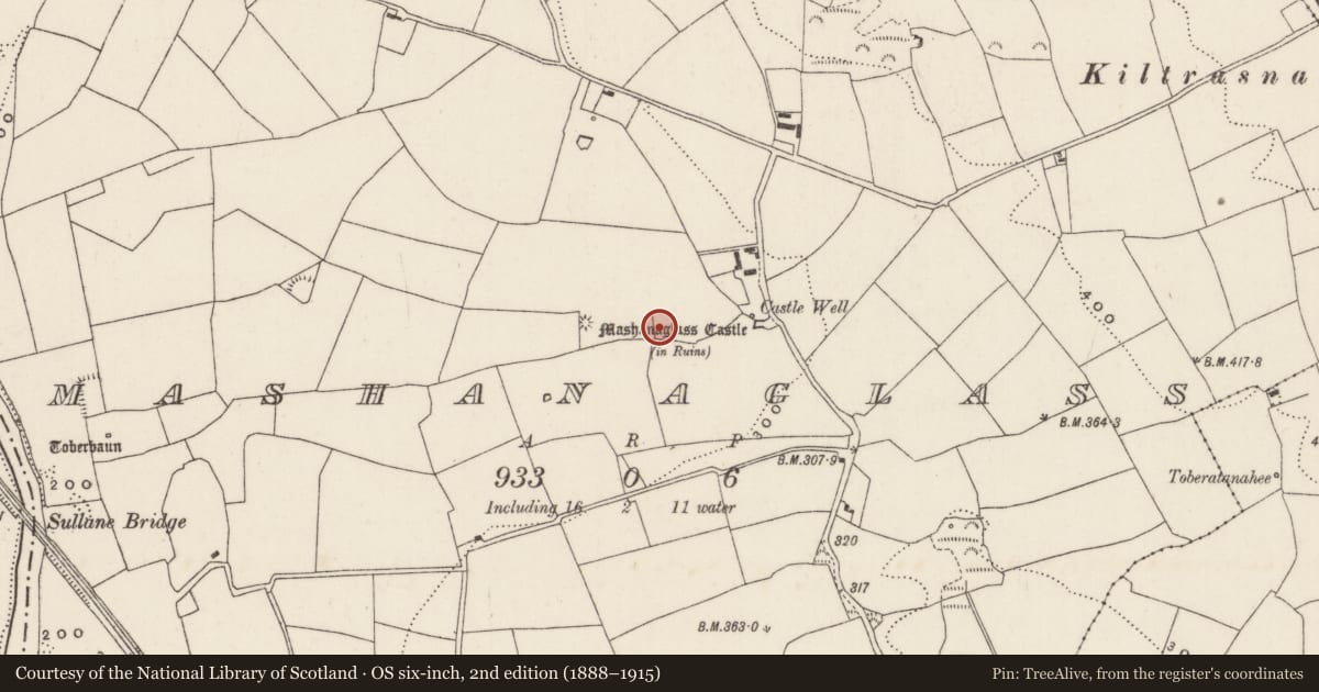 Ordnance Survey six-inch map, 2nd edition (1888–1915) covering the location of Fulacht fia, Mashanaglass, County Cork, with a pin at the register's coordinates
