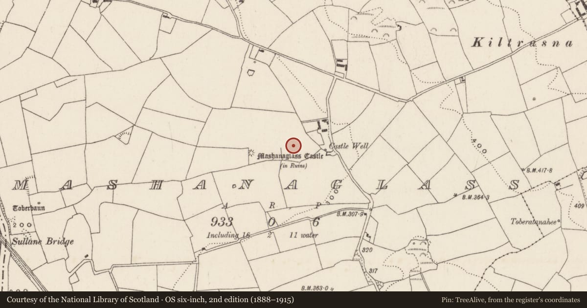 Ordnance Survey six-inch map, 2nd edition (1888–1915) covering the location of Fulacht fia, Mashanaglass, County Cork, with a pin at the register's coordinates