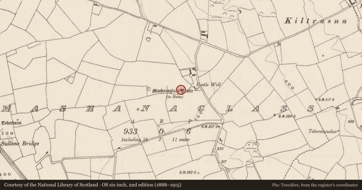 Ordnance Survey six-inch map, 2nd edition (1888–1915) covering the location of Fulacht fia, Mashanaglass, County Cork, with a pin at the register's coordinates