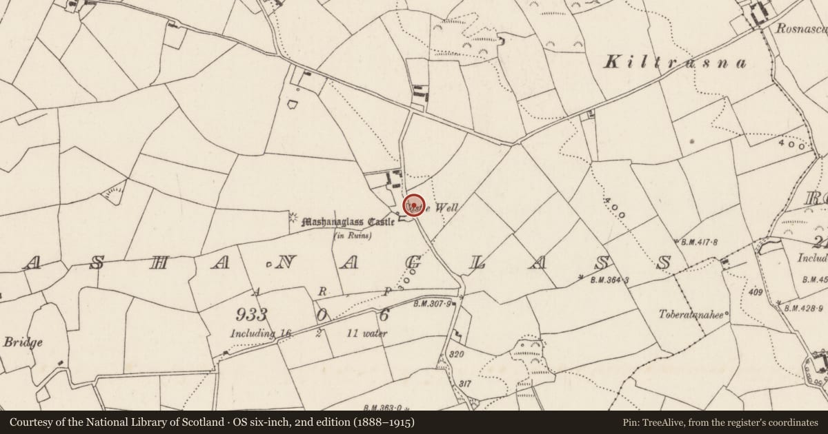 Ordnance Survey six-inch map, 2nd edition (1888–1915) covering the location of Well, Mashanaglass, County Cork, with a pin at the register's coordinates