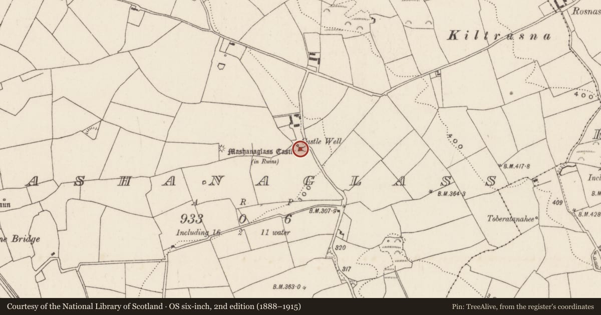 Ordnance Survey six-inch map, 2nd edition (1888–1915) covering the location of Castle - tower house, Mashanaglass, County Cork, with a pin at the register's coordinates