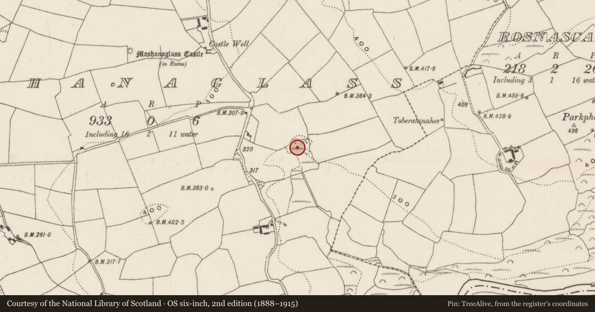Ordnance Survey six-inch map, 2nd edition (1888–1915) covering the location of Fulacht fia, Mashanaglass, County Cork, with a pin at the register's coordinates