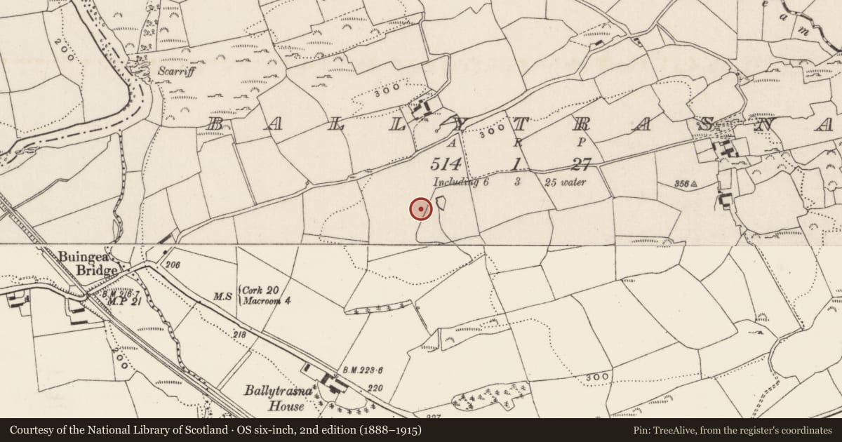 Ordnance Survey six-inch map, 2nd edition (1888–1915) covering the location of Fulacht fia, Ballytrasna, County Cork, with a pin at the register's coordinates