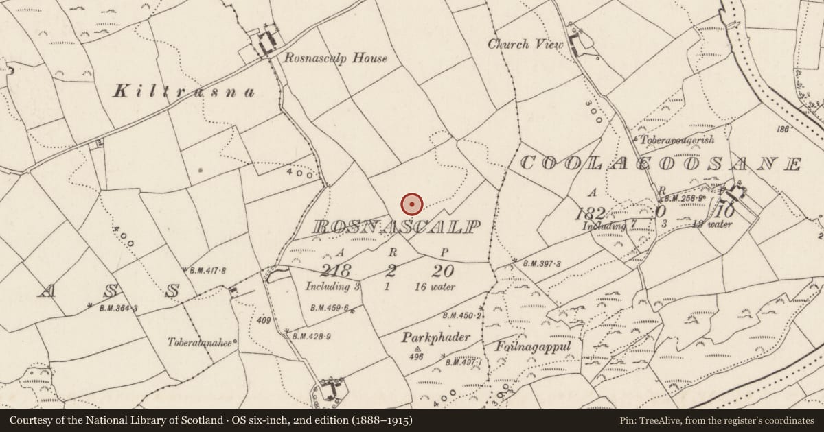 Ordnance Survey six-inch map, 2nd edition (1888–1915) covering the location of Stone circle - five-stone, Rosnascalp, County Cork, with a pin at the register's coordinates