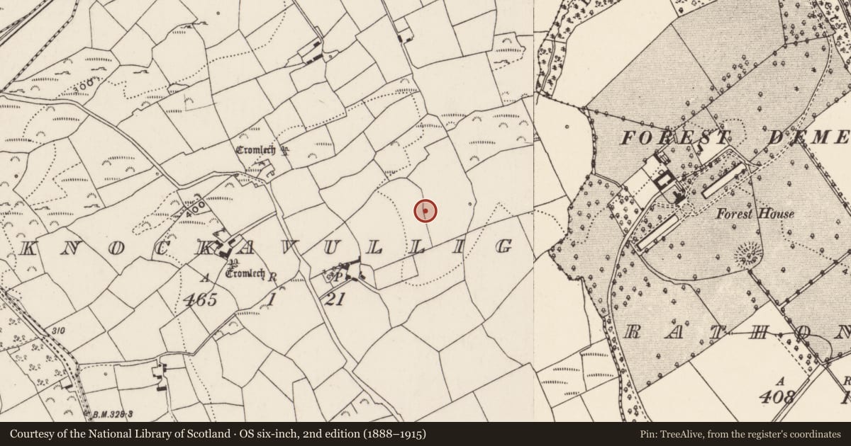 Ordnance Survey six-inch map, 2nd edition (1888–1915) covering the location of Fulacht fia, Knockavullig, County Cork, with a pin at the register's coordinates
