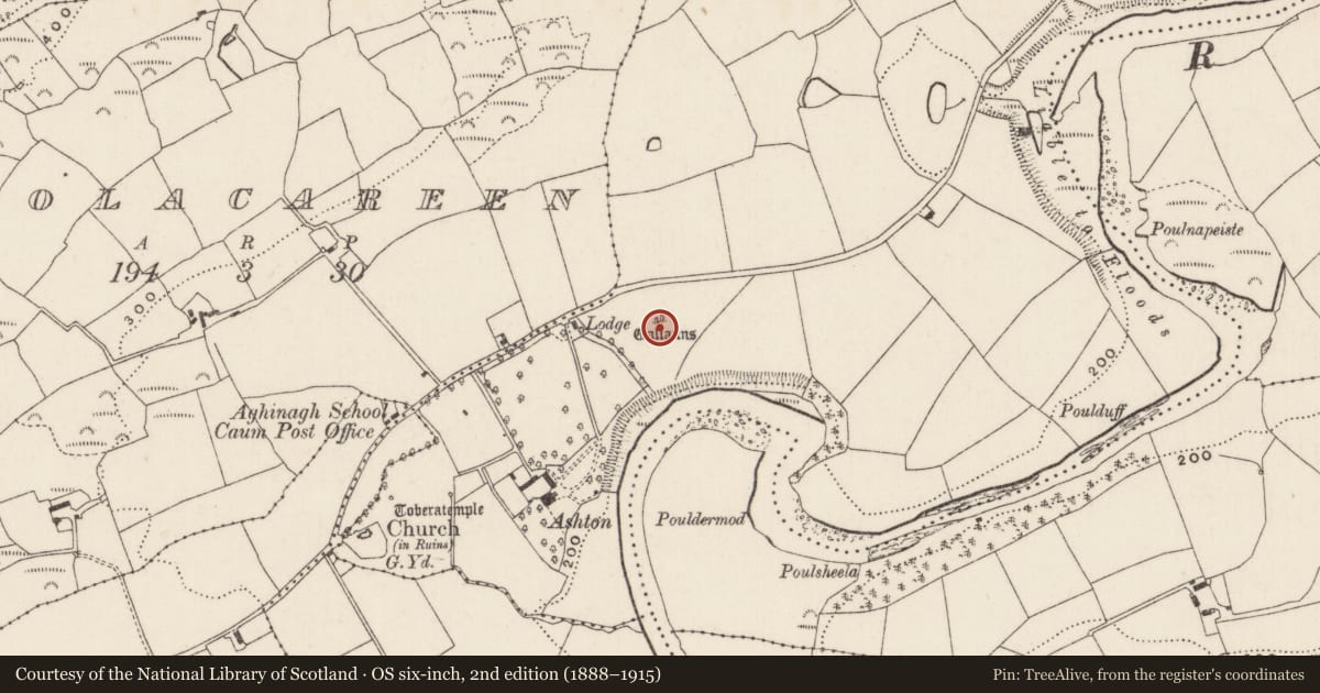 Ordnance Survey six-inch map, 2nd edition (1888–1915) covering the location of Standing stone - pair, Caum, County Cork, with a pin at the register's coordinates