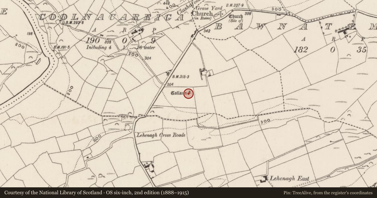 Ordnance Survey six-inch map, 2nd edition (1888–1915) covering the location of Standing stone, Coolnacarriga, County Cork, with a pin at the register's coordinates