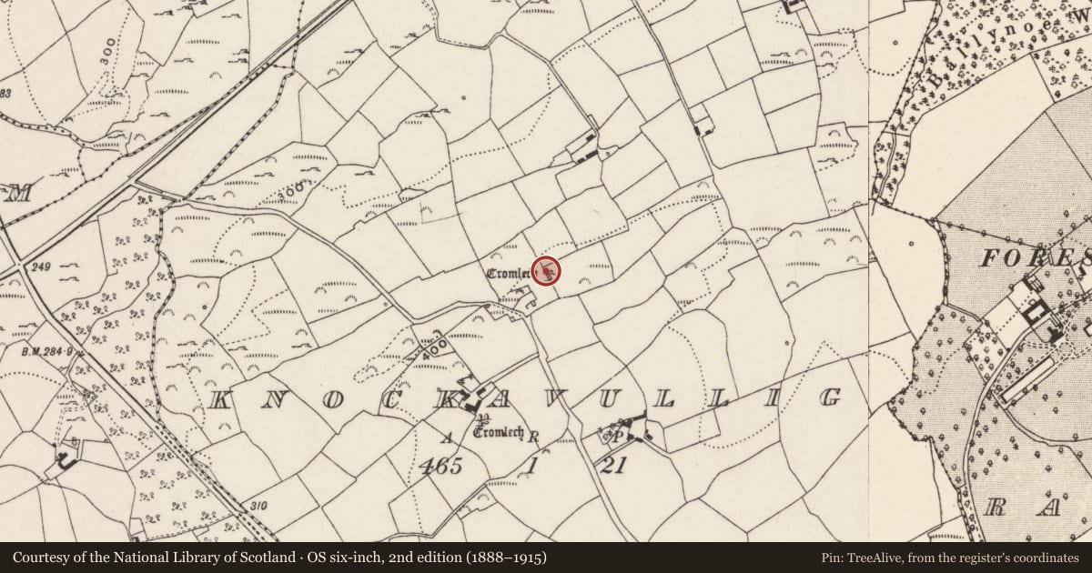 Ordnance Survey six-inch map, 2nd edition (1888–1915) covering the location of Stone circle - five-stone, Knockavullig, County Cork, with a pin at the register's coordinates
