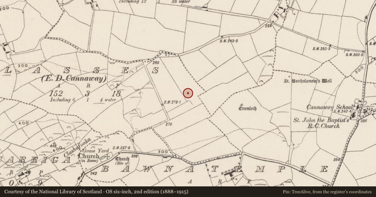 Ordnance Survey six-inch map, 2nd edition (1888–1915) covering the location of Fulacht fia, Classes (Muskerry East By., Cannaway Par.), County Cork, with a pin at the register's coordinates