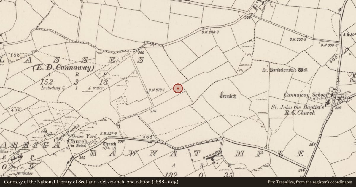 Ordnance Survey six-inch map, 2nd edition (1888–1915) covering the location of Fulacht fia, Classes (Muskerry East By., Cannaway Par.), County Cork, with a pin at the register's coordinates