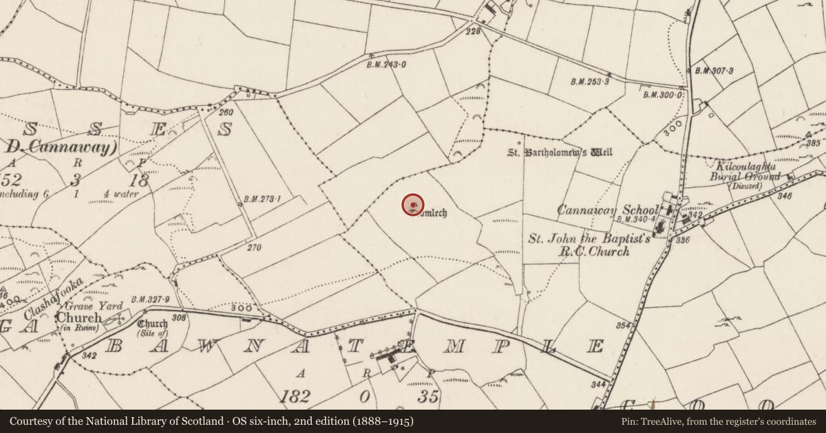 Ordnance Survey six-inch map, 2nd edition (1888–1915) covering the location of Standing stone - pair, Bawnatemple, County Cork, with a pin at the register's coordinates