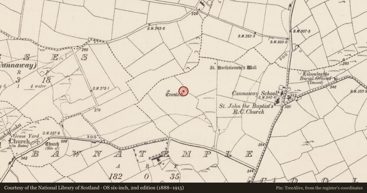 Ordnance Survey six-inch map, 2nd edition (1888–1915) covering the location of Fulacht fia, Bawnatemple, County Cork, with a pin at the register's coordinates