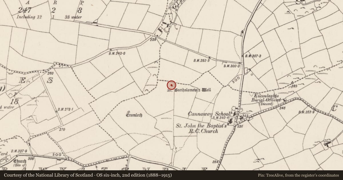 Ordnance Survey six-inch map, 2nd edition (1888–1915) covering the location of Ritual site - holy well, Bawnatemple, County Cork, with a pin at the register's coordinates