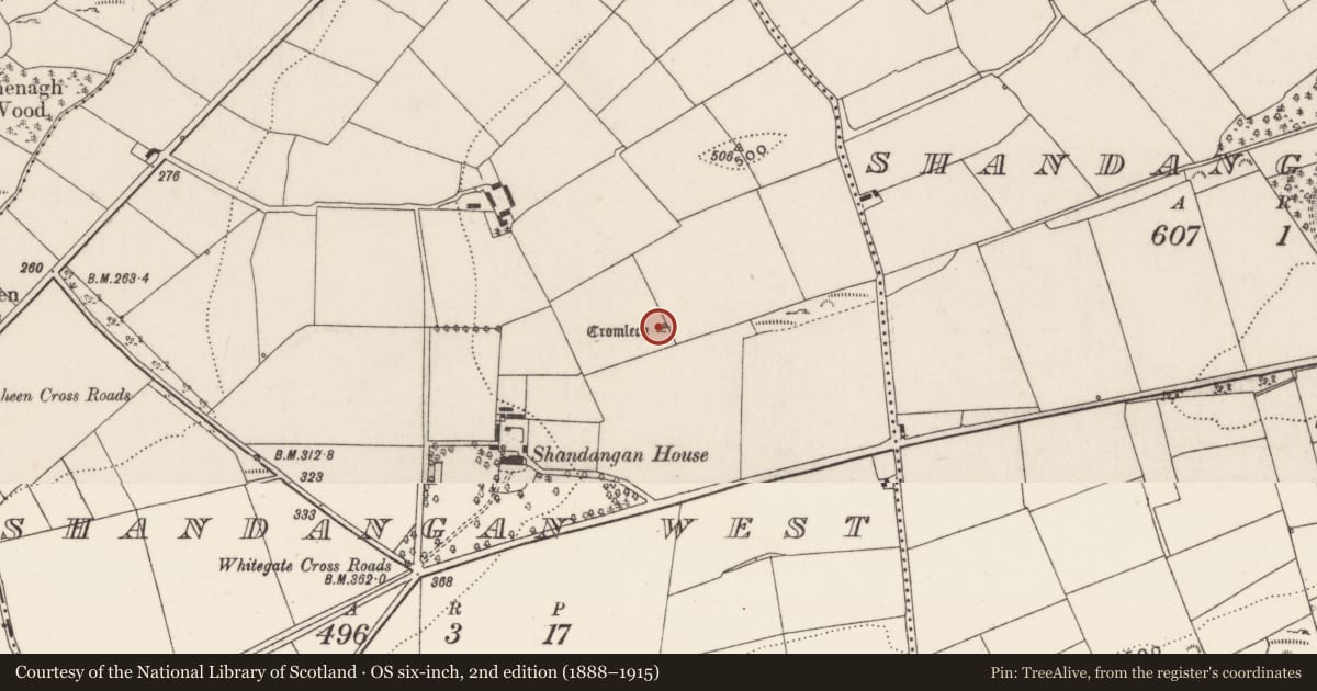 Ordnance Survey six-inch map, 2nd edition (1888–1915) covering the location of Standing stone - pair, Shandangan West, County Cork, with a pin at the register's coordinates