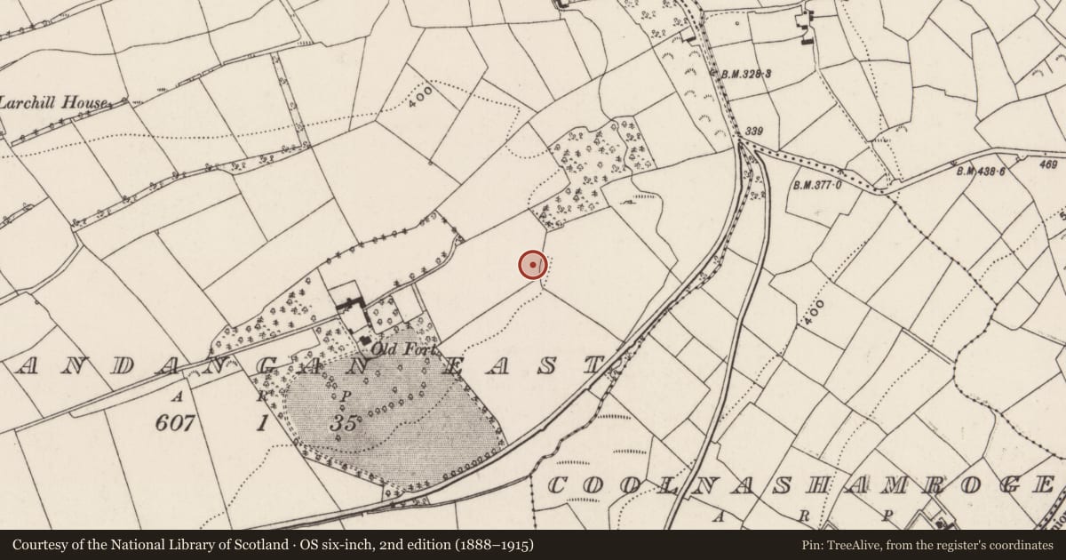 Ordnance Survey six-inch map, 2nd edition (1888–1915) covering the location of Ringfort - rath, Shandangan East, County Cork, with a pin at the register's coordinates