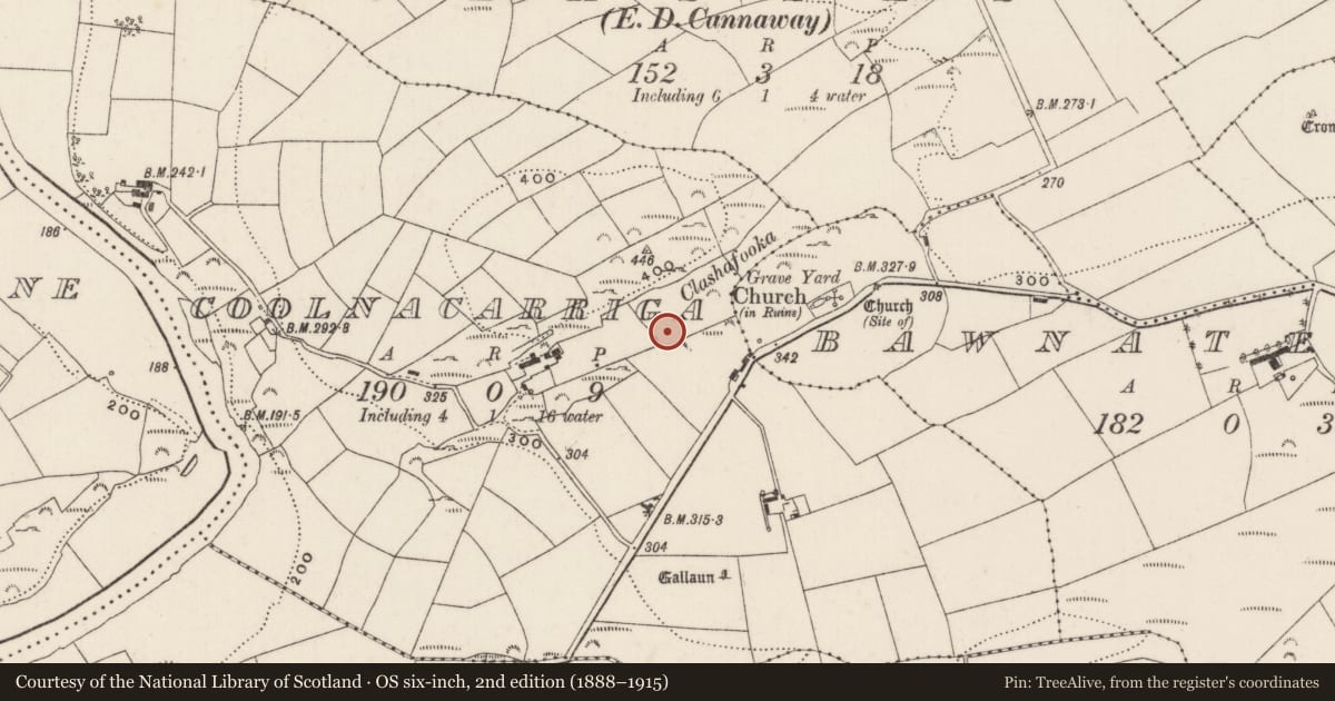 Ordnance Survey six-inch map, 2nd edition (1888–1915) covering the location of Bullaun stone, Coolnacarriga, County Cork, with a pin at the register's coordinates