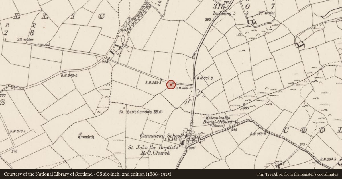 Ordnance Survey six-inch map, 2nd edition (1888–1915) covering the location of Fulacht fia, Killinardrish, County Cork, with a pin at the register's coordinates