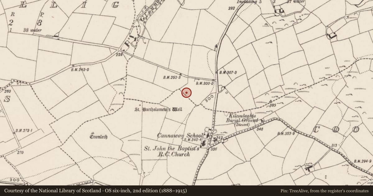 Ordnance Survey six-inch map, 2nd edition (1888–1915) covering the location of Fulacht fia, Killinardrish, County Cork, with a pin at the register's coordinates