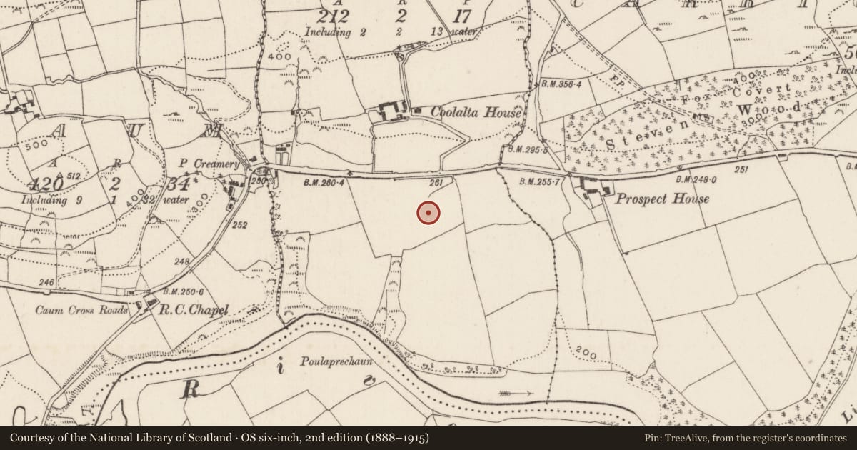 Ordnance Survey six-inch map, 2nd edition (1888–1915) covering the location of Burnt spread, Coolalta, County Cork, with a pin at the register's coordinates