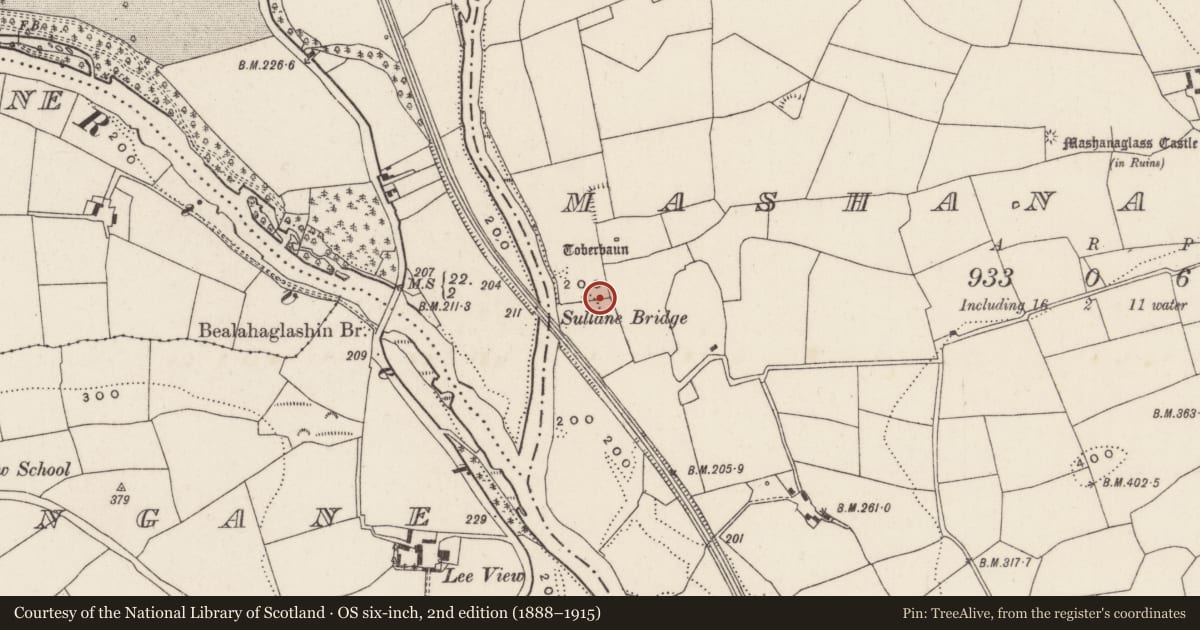 Ordnance Survey six-inch map, 2nd edition (1888–1915) covering the location of Kiln - corn-drying, Mashanaglass, County Cork, with a pin at the register's coordinates