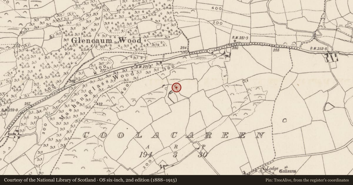 Ordnance Survey six-inch map, 2nd edition (1888–1915) covering the location of Fulacht fia, Coolacareen, County Cork, with a pin at the register's coordinates